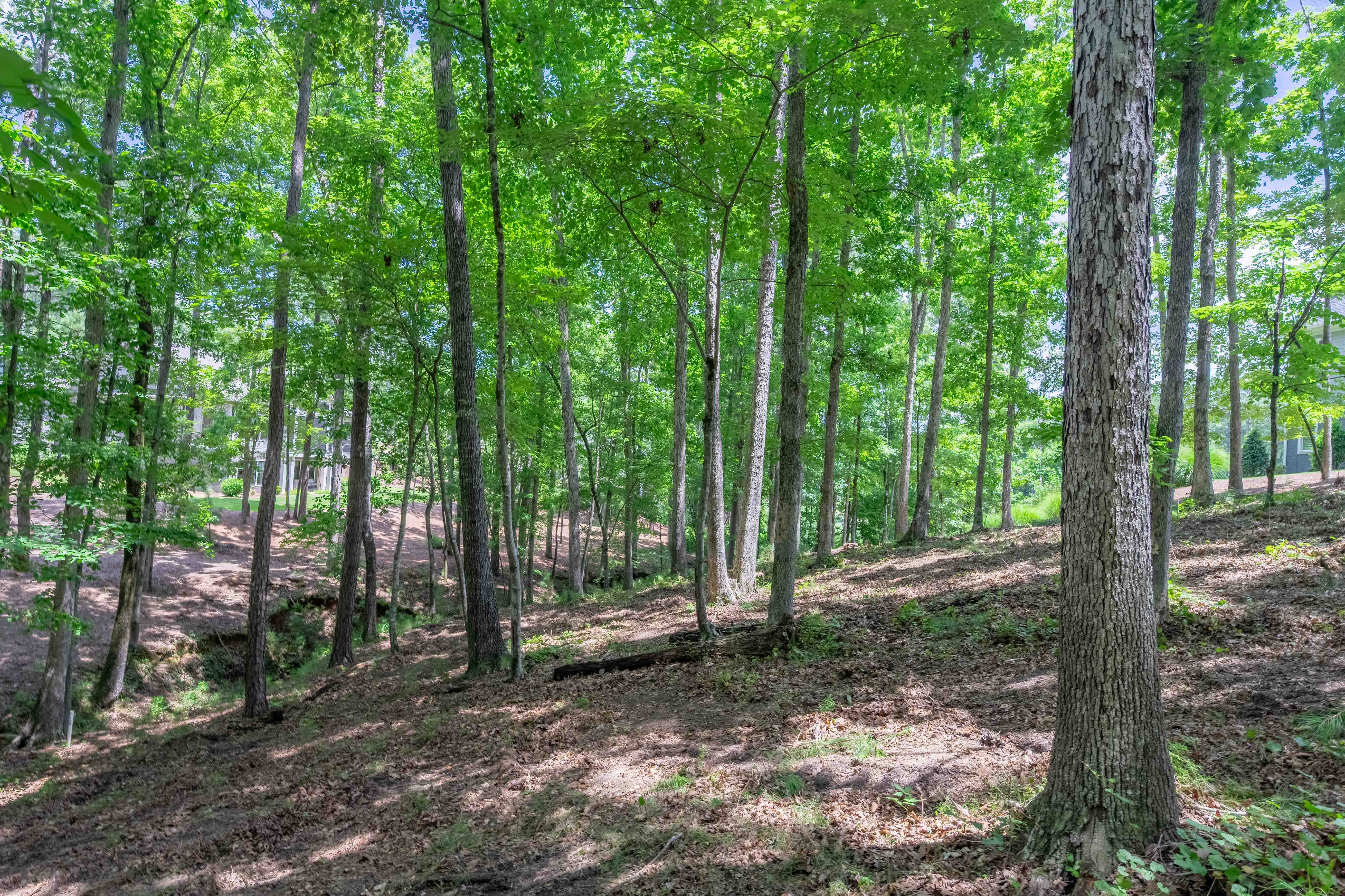 1090 Lumbering Creek image 11